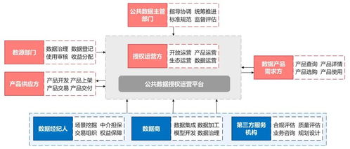 数据要素专题研究 公共数据授权运营 数据要素市场化配置的先导力量